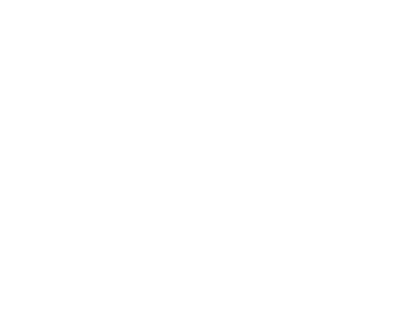 zewailcityLogo